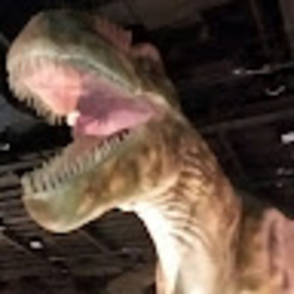 Meet your Posher, Skull